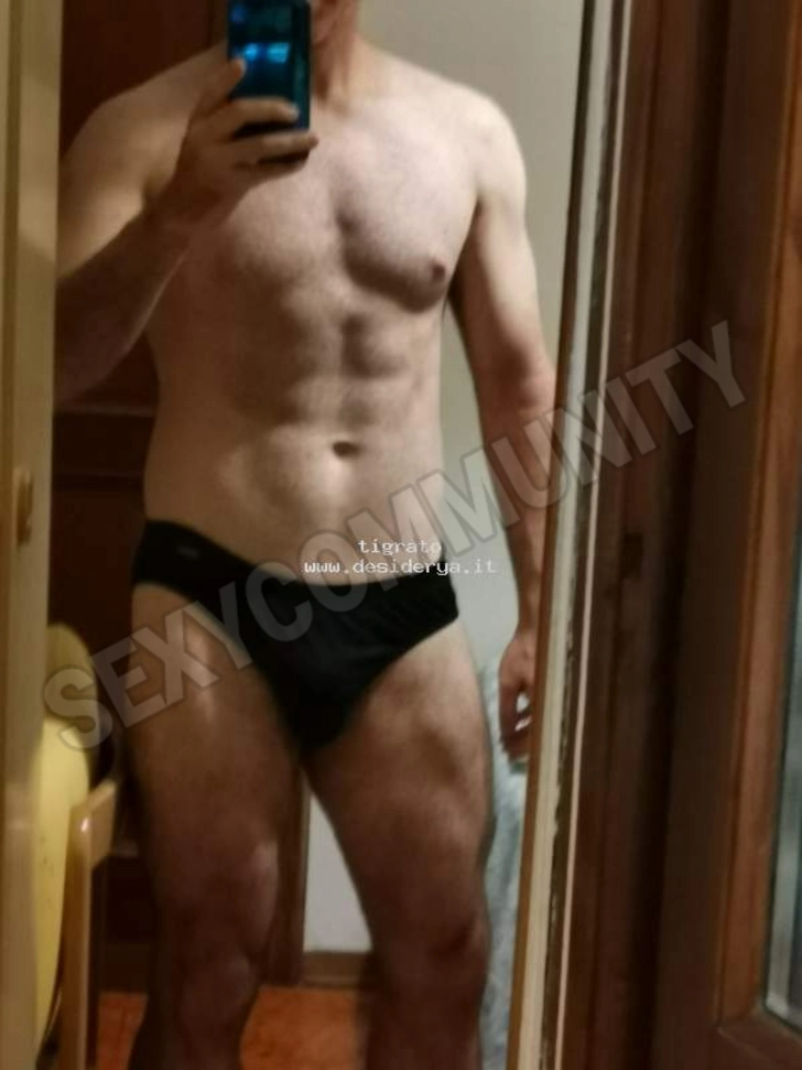 Annuncio (8393888) - tigrato 1