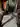 IMG_8514.jpeg