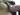 Advertisement (8578888) - Danym77 3
