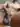 Advertisement (8774846) - santiagobull 3