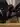 Advertisement (8734878) - Cpbsdm 5