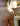 Advertisement (8756902) - Bellamazza76 2