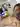Advertisement (8757218) - Andrews92 5