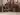 Advertisement (8734878) - Cpbsdm 6