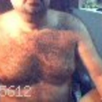 picar65