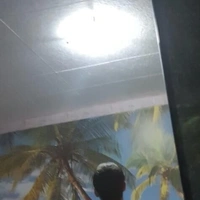 Alexilmamba
