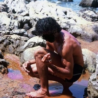 Wolf1971