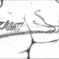 Noi61