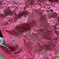 Segaiolo4Lingerie