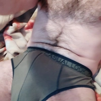 Pig86
