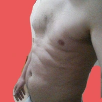StefanoPigPig