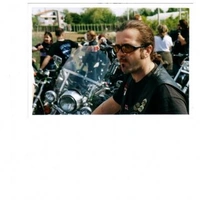 springer1340