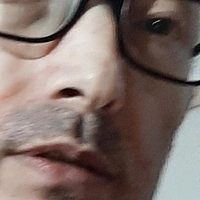 Fulgi