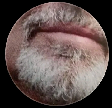 Misternut